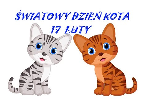 Dzien-kota.jpg