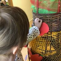 IMG 5893