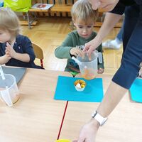 IMG 20241029 093627