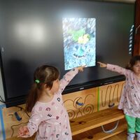 IMG 20241028 102254