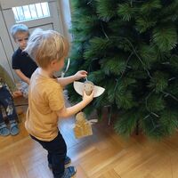 IMG 20241205 114854