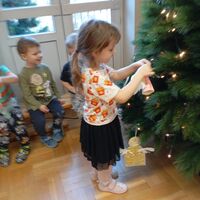 IMG 20241205 114958