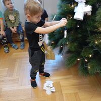 IMG 20241205 115146