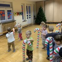 IMG 4761