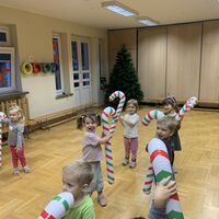 IMG 4764