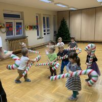 IMG 4765