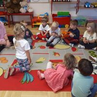 IMG 7732