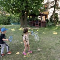 IMG 2506