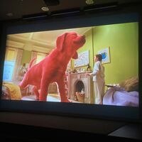 IMG 0597
