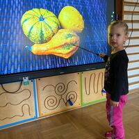 IMG 7895