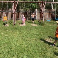IMG 06341