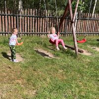 IMG 06451