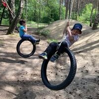 IMG 0669
