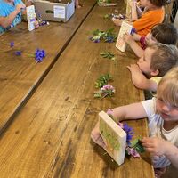 IMG 0680