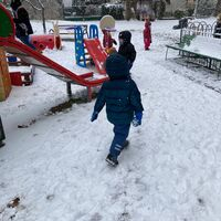 IMG 8315