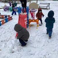 IMG 8316