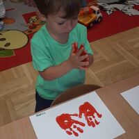 IMG 7178