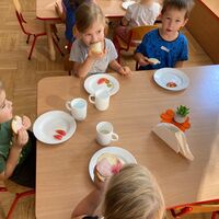 IMG 7084