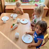 IMG 7086
