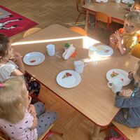 IMG 7101