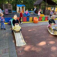 IMG 7109