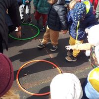 IMG 7282