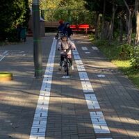 IMG 7682