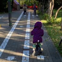 IMG 7683