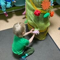 IMG 9873