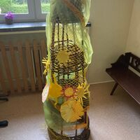 IMG 0768