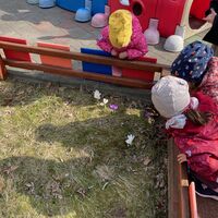 IMG 9856