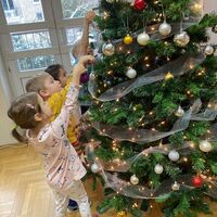 IMG 4111