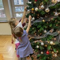 IMG 4114