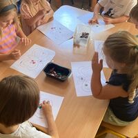 IMG 7619