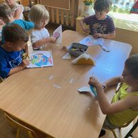 IMG 76351
