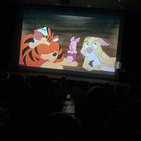 IMG 6793