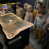 IMG 3590