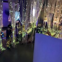 IMG 3602