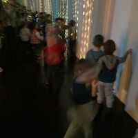 IMG 3610