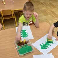 IMG 4133