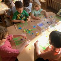 IMG 5586