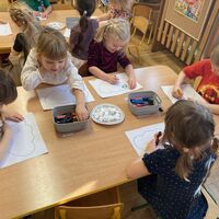 IMG 4788