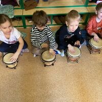 IMG 4731