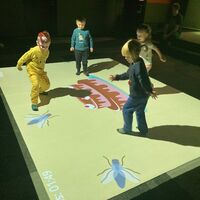 IMG 3966
