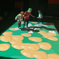 IMG 3978