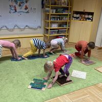IMG 4750