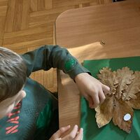 IMG 8898