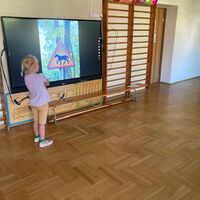IMG 8592
