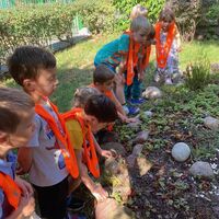 IMG 8584