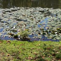 IMG 8616